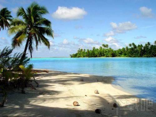 A Tropical Paradise Screen Saver,A Tropical Paradise Screen Saver下载